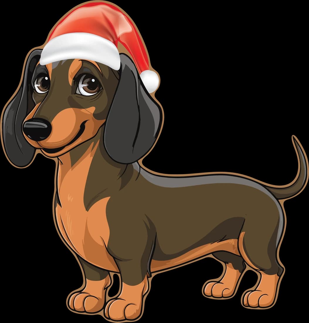 Dachshund