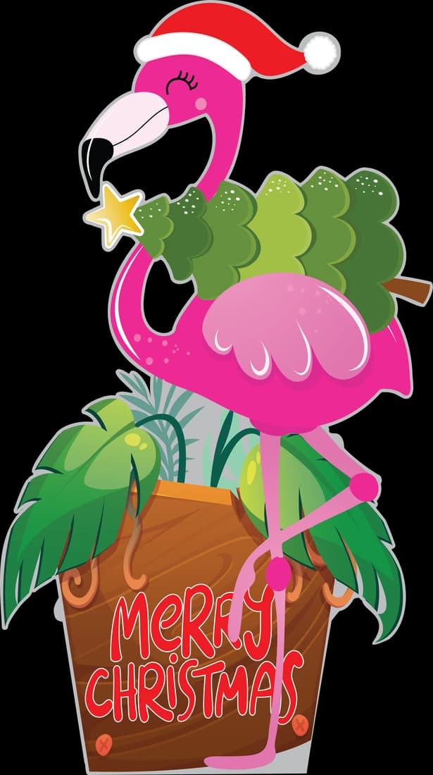 Flamingo