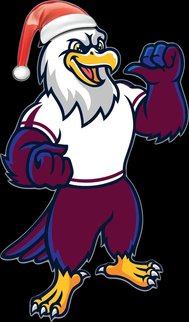 Football Sea Eagle