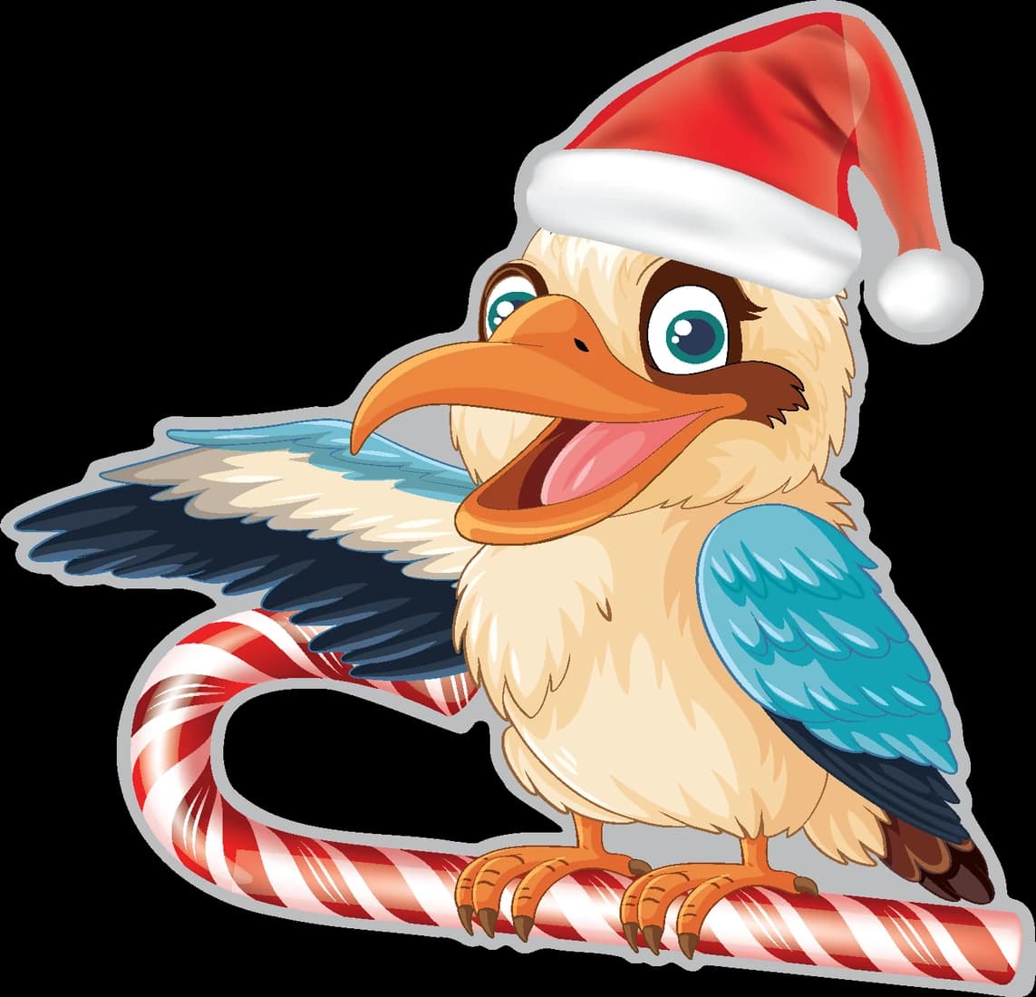 Kookaburra