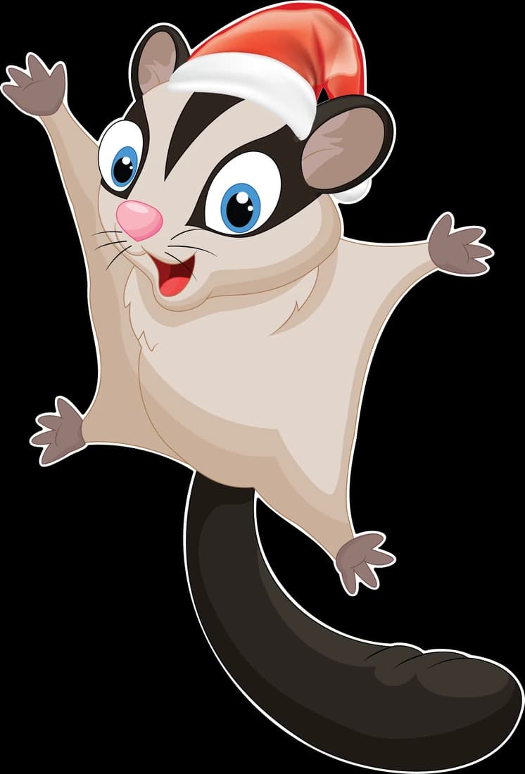Possum